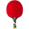 Image sur Raquette de Ping Pong Cornilleau Excell 3000
